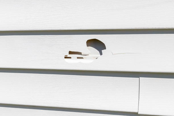 La Mesa, CA Siding Installation & Repair Company